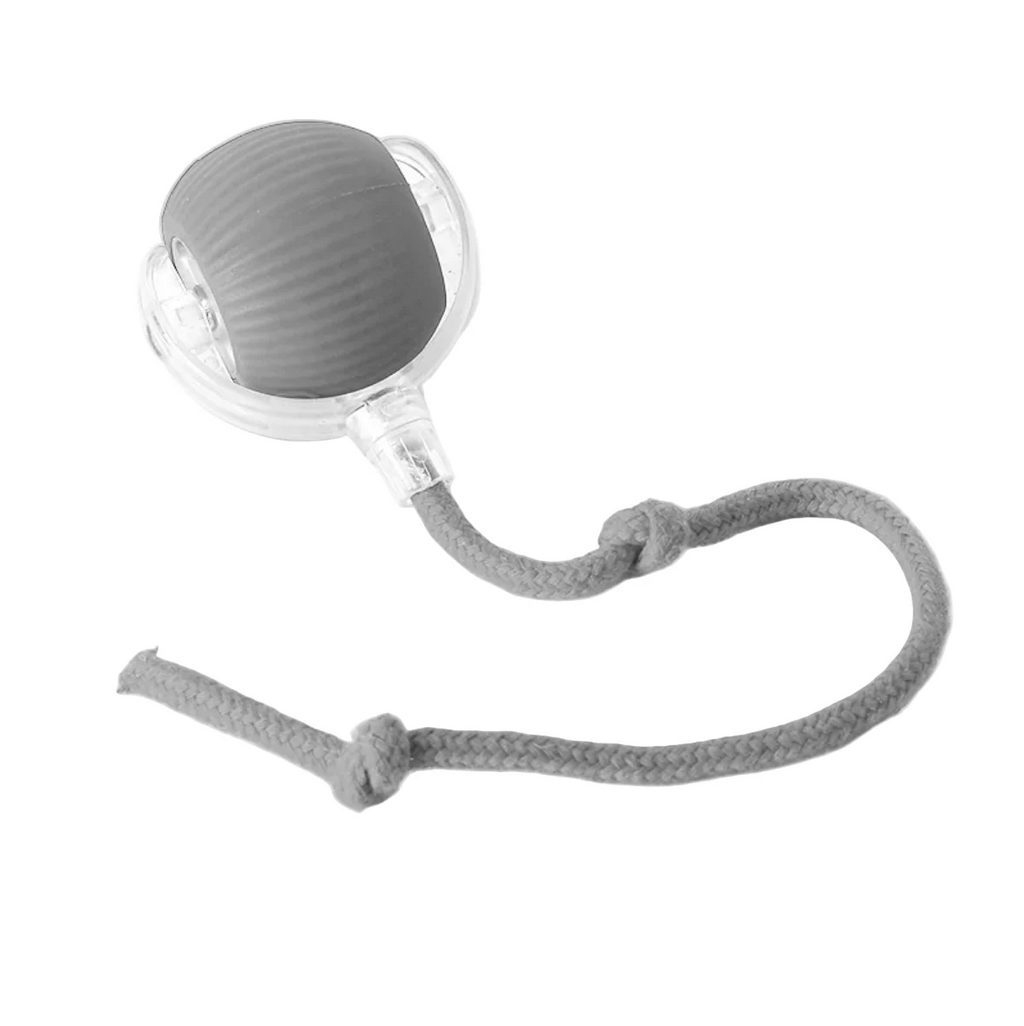 Smart Toy Ball