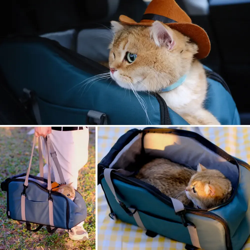 Co-Pilot Pet Car Seat