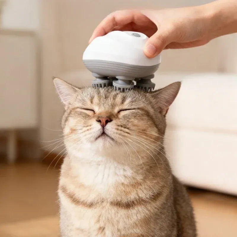 Pet Massager