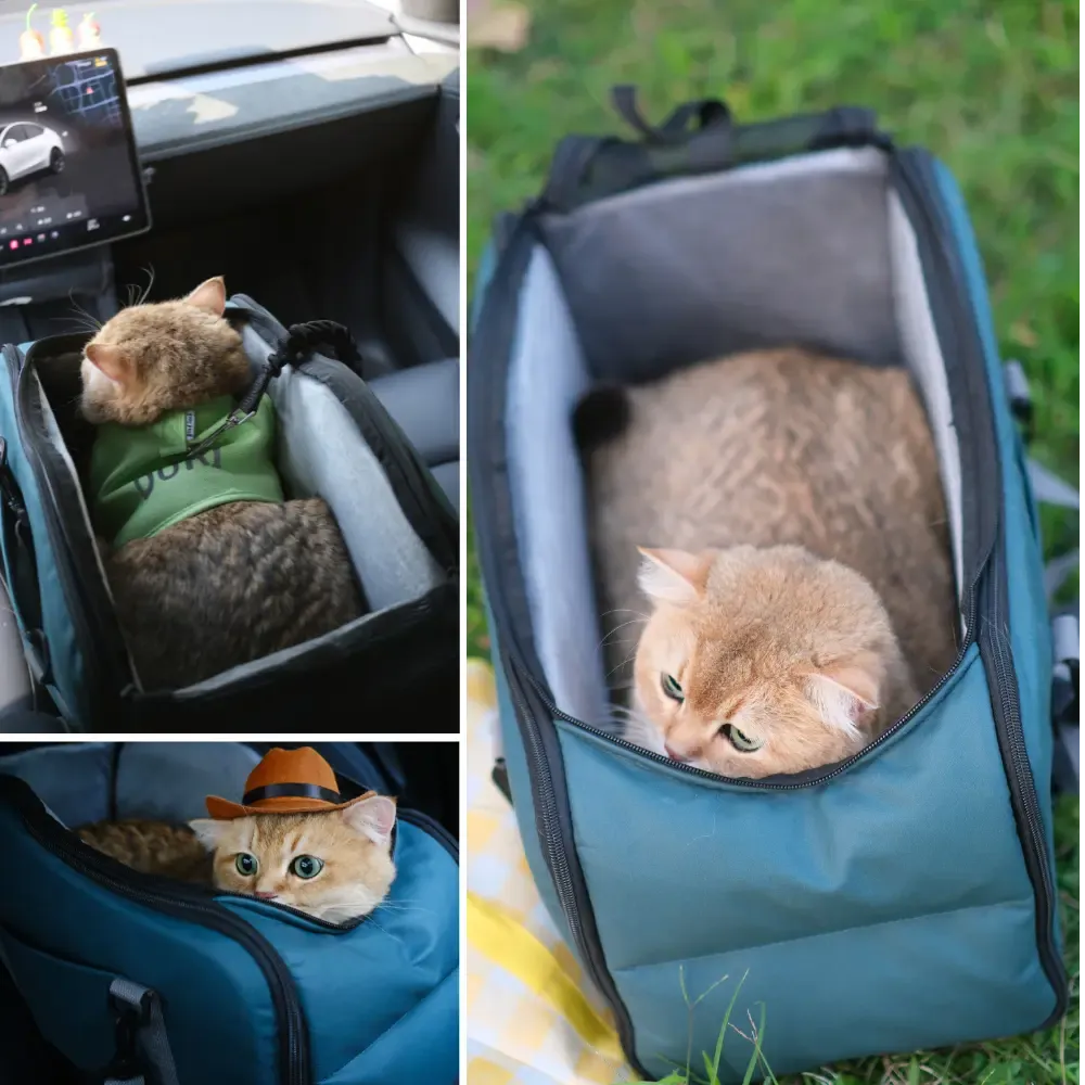 Co-Pilot Pet Car Seat