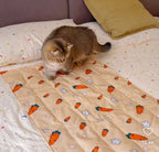 Pet Ice Mat