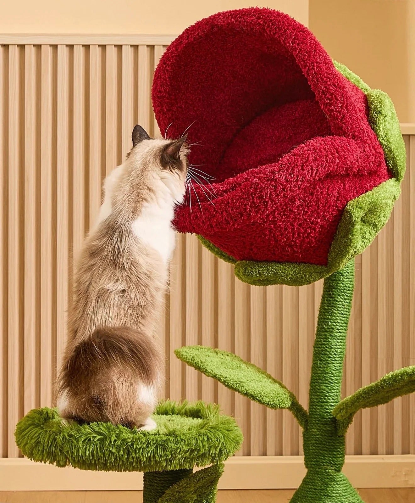 Cat Rose Bed