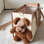 Teddy Bear Carrier Bag
