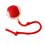 Smart Toy Ball