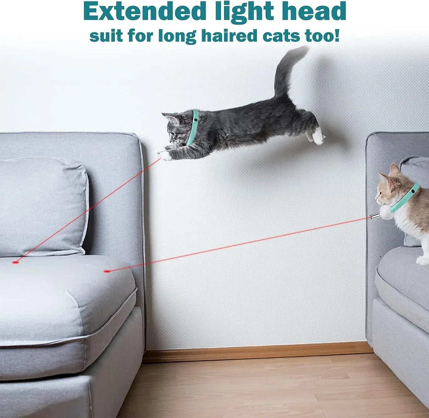 Laser Collar Cat Toy