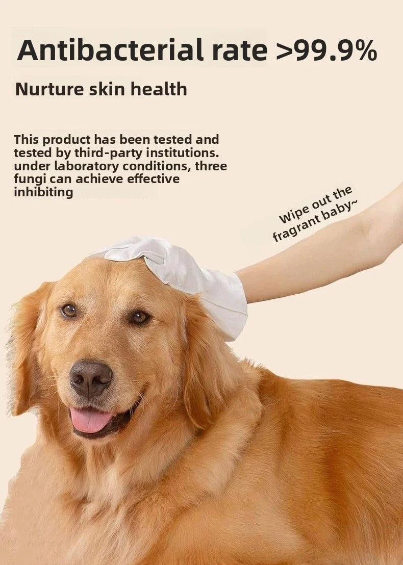 Pet Disposable Gloves (120pcs)