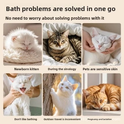 Pet Disposable Gloves (120pcs)