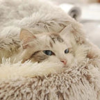 Cozy Fluffy Cat Bed
