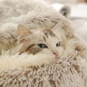 Cozy Fluffy Cat Bed