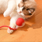 Smart Toy Ball
