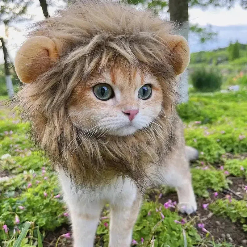 Cat Lion Costume