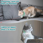 Laser Collar Cat Toy