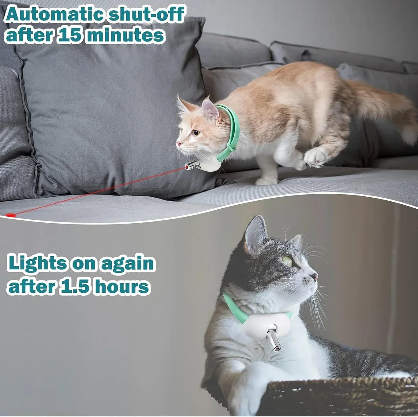 Laser Collar Cat Toy