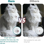 Laser Collar Cat Toy