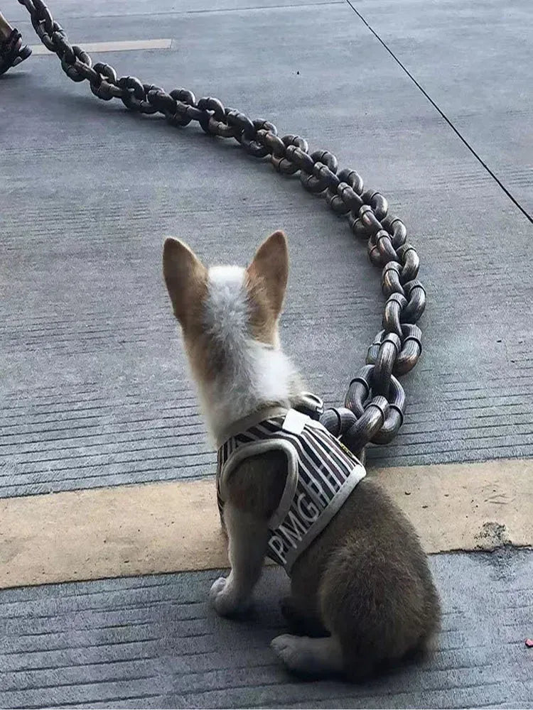 Funny Big Paws Chain