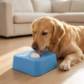 Dog Slow Feeding Bowl
