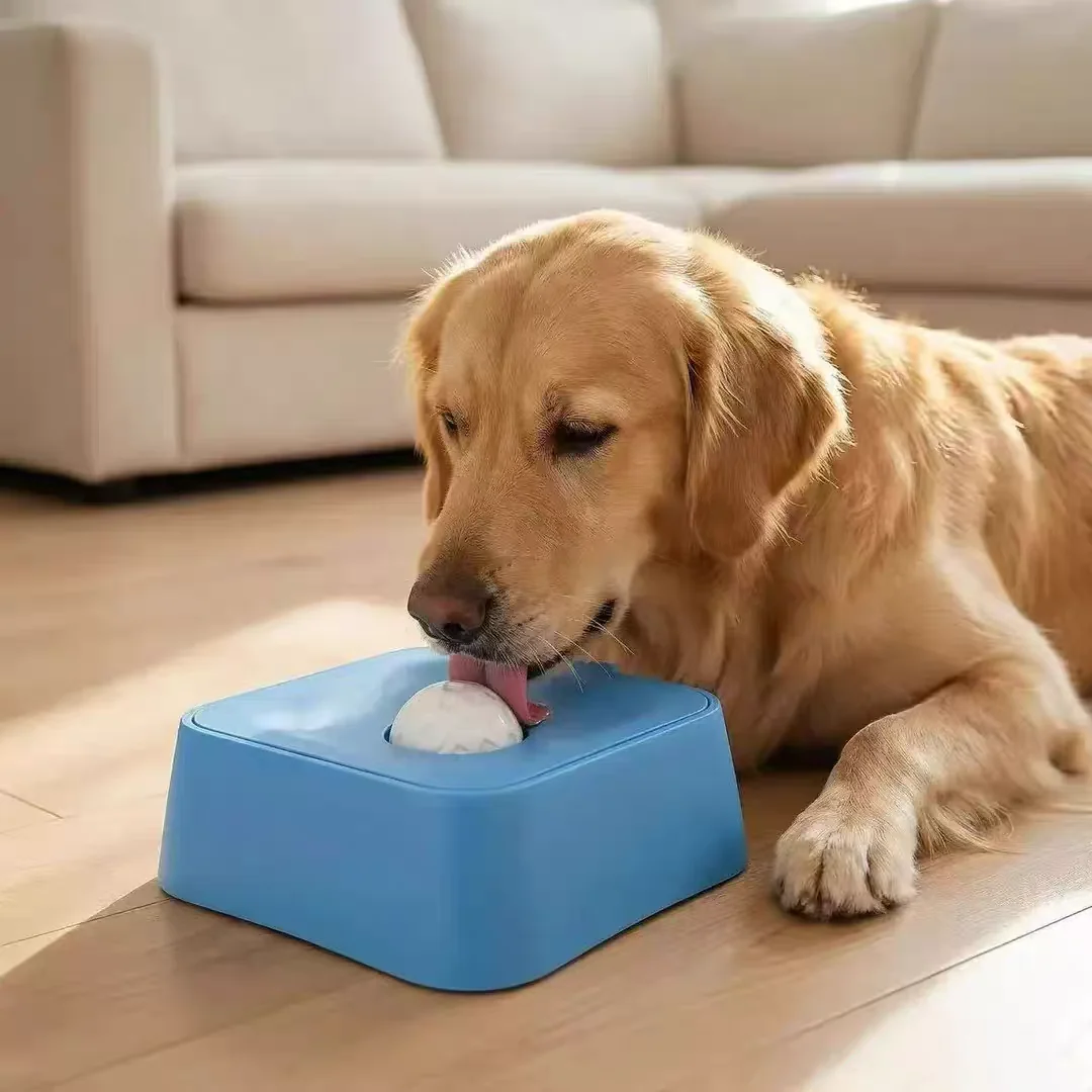 Dog Slow Feeding Bowl