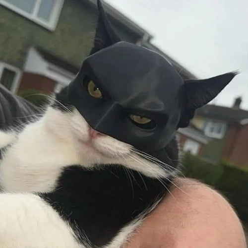 Batman Mask for Cats