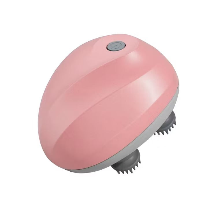 Pet Massager