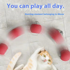Smart Toy Ball