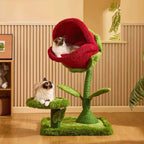 Cat Rose Bed