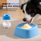 Dog Slow Feeding Bowl