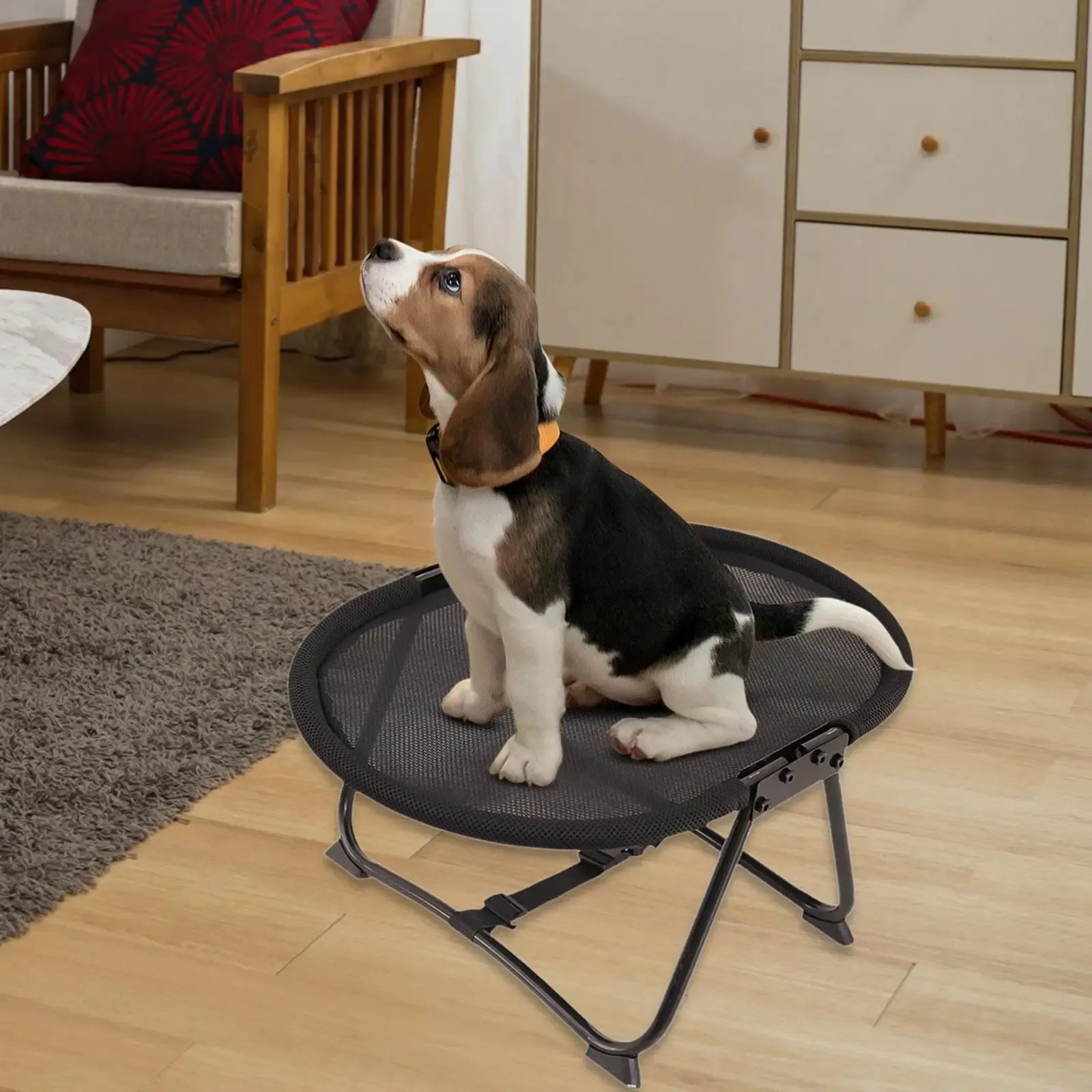 Foldable Pet Bed