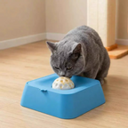 Dog Slow Feeding Bowl