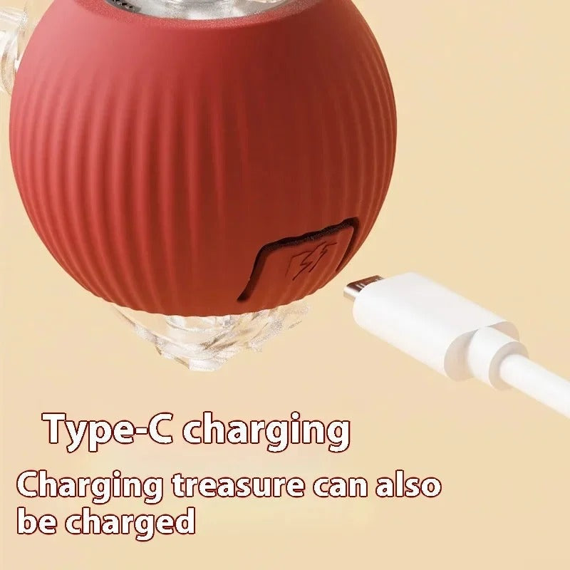 Smart Toy Ball
