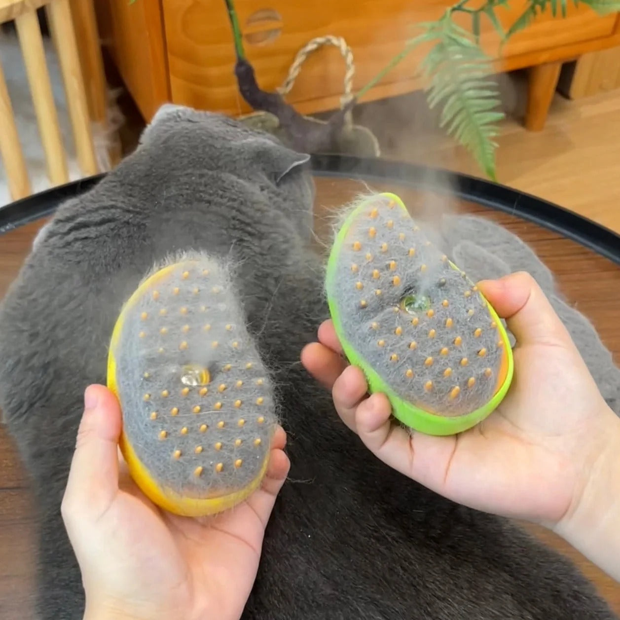 Pet Steam Brush