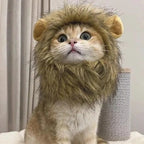 Cat Lion Costume