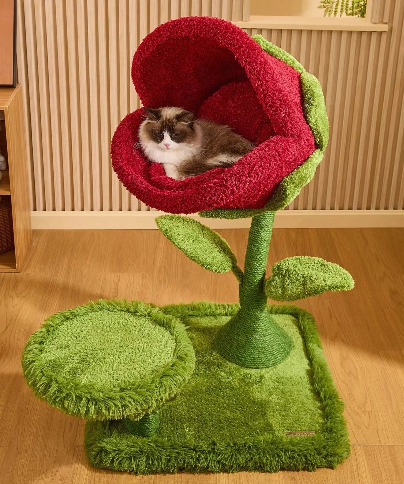 Cat Rose Bed