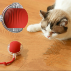 Smart Toy Ball