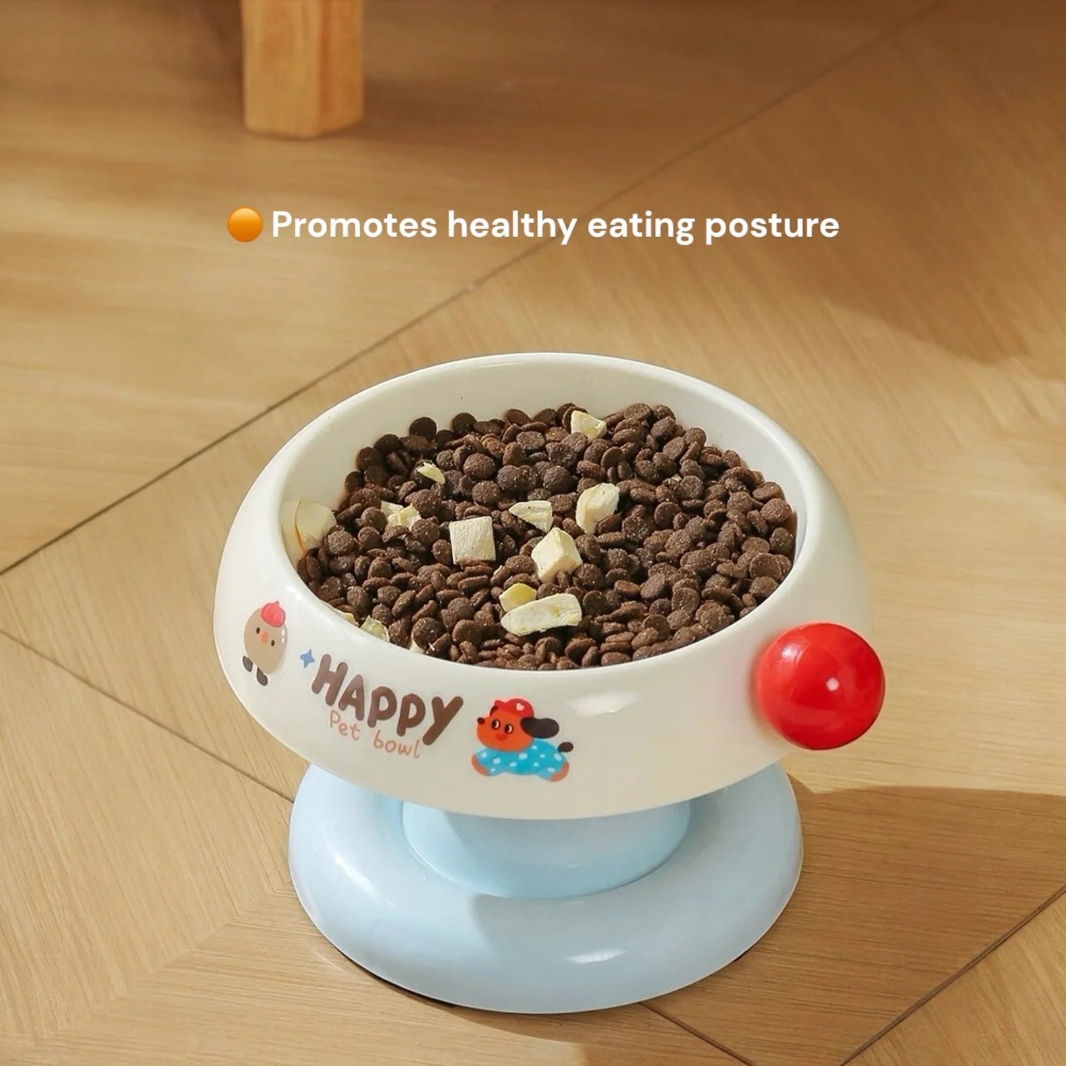 Pet Food Bowl