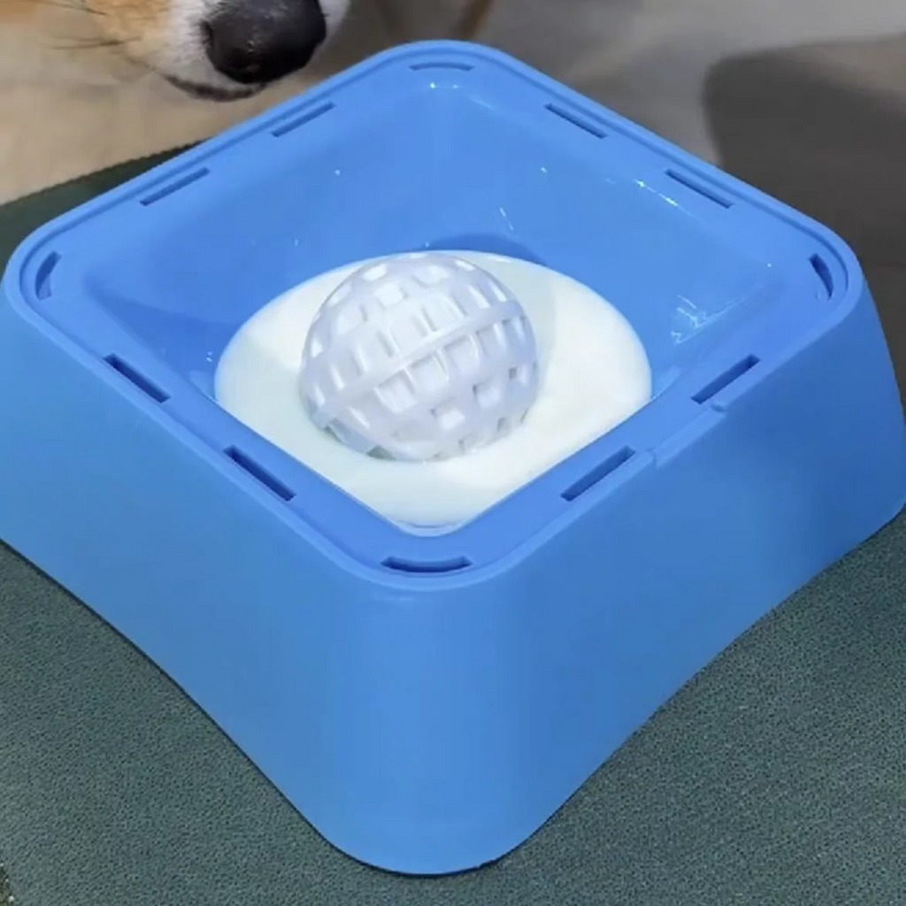 Dog Slow Feeding Bowl