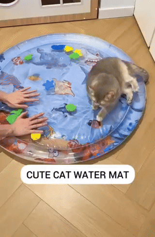 Pet Water Bed