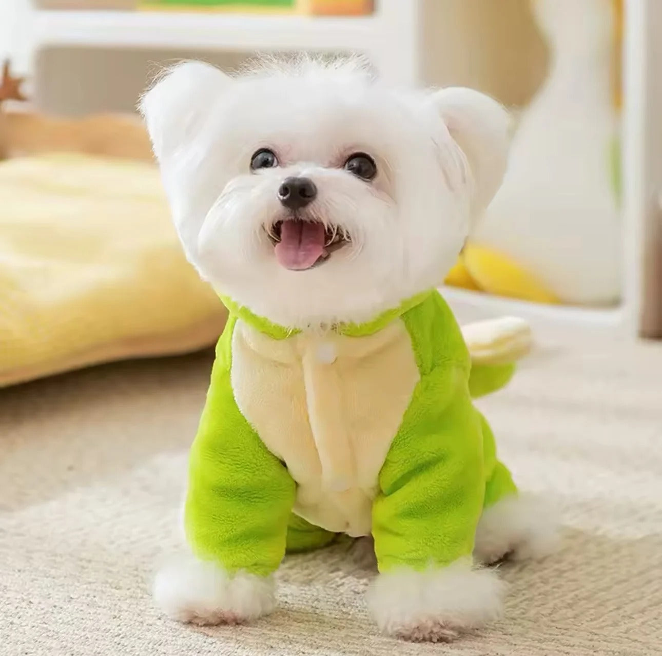 Pet Dinosaur Costume