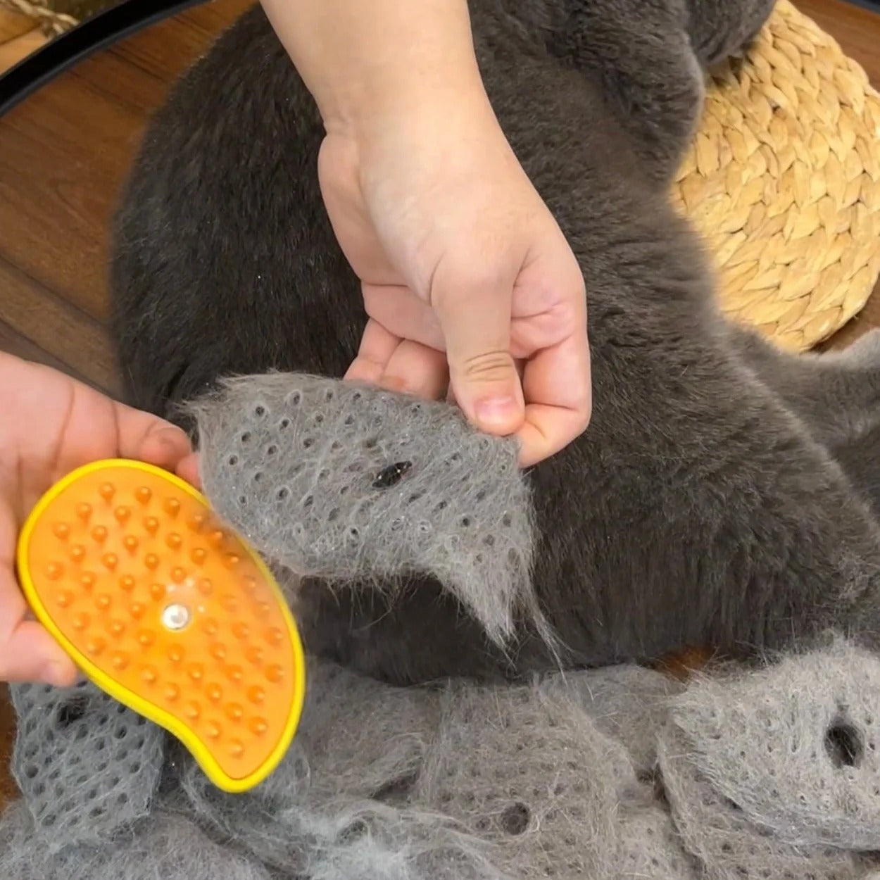 Pet Steam Brush