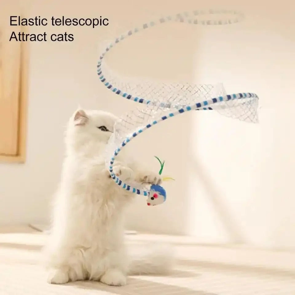 Cat Tunnel Toy