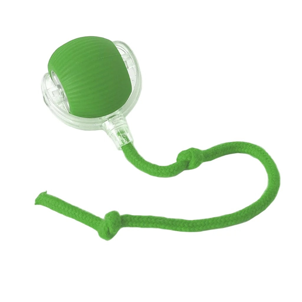 Smart Toy Ball