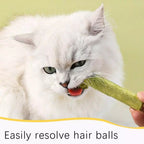 Natural Dry Grass Sticks