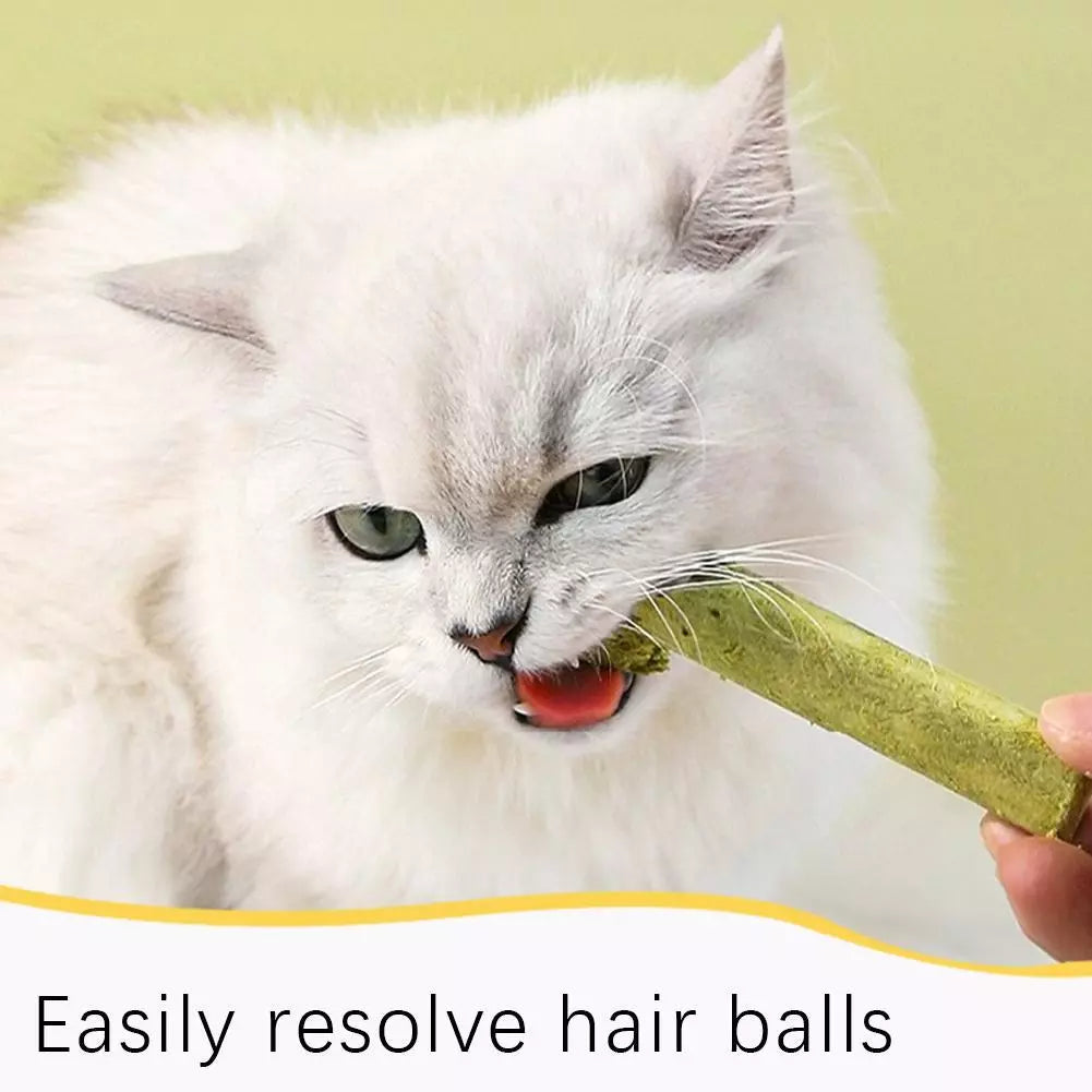 Natural Dry Grass Sticks