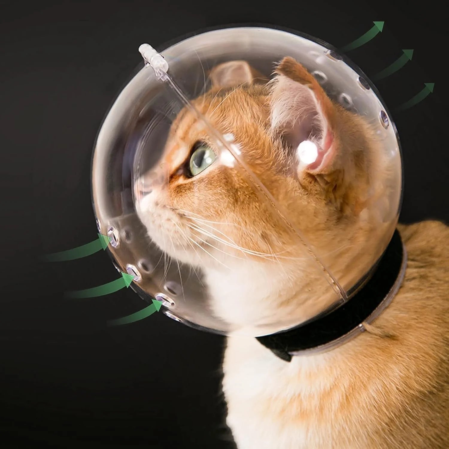 Cat Grooming Safety Mask