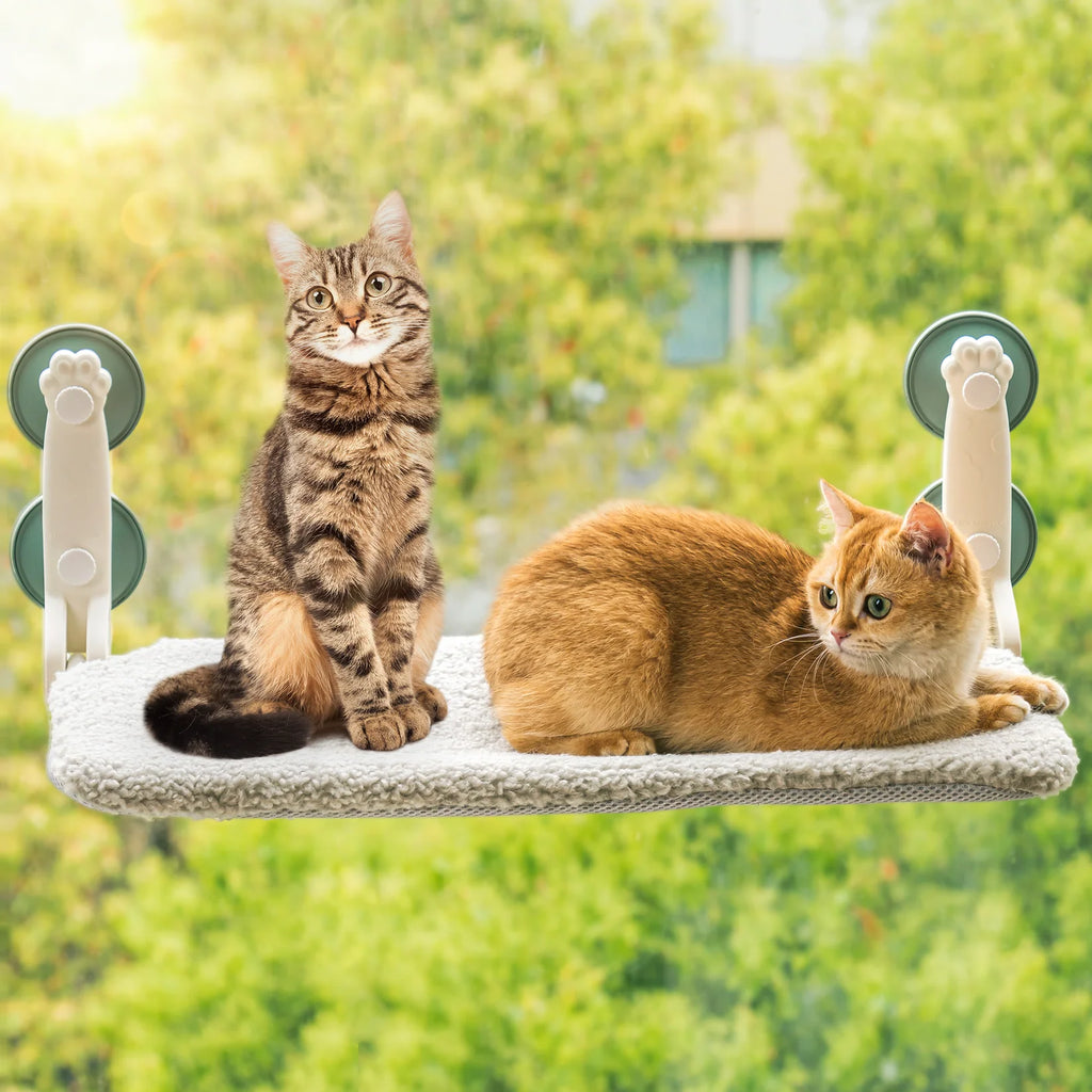 Cat Window Bed