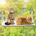Cat Window Bed