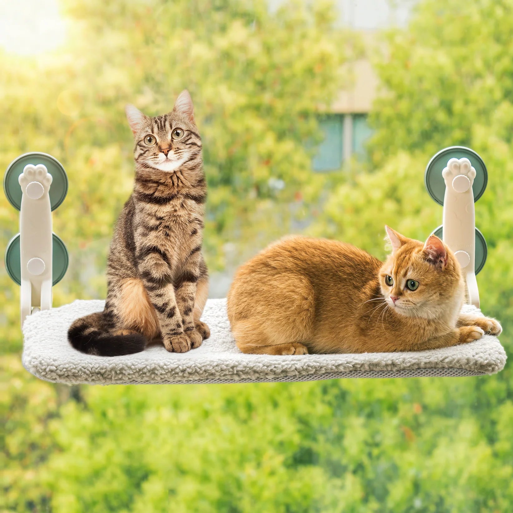 Cat Window Bed