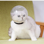 Cat Grooming Safety Mask