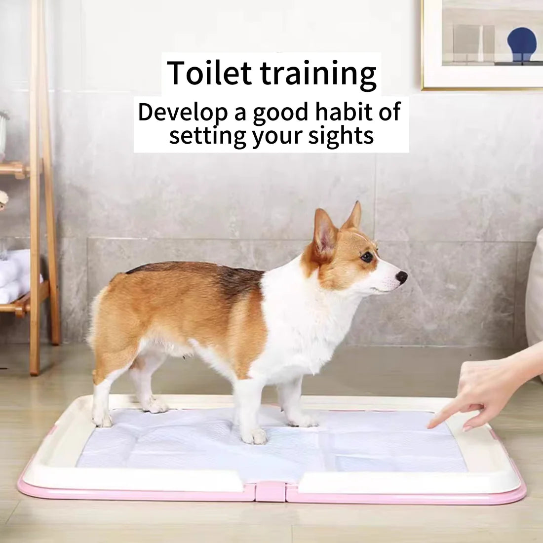 Foldable Dog Toilet Tray + Pads