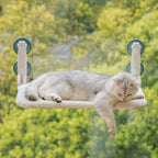 Cat Window Bed