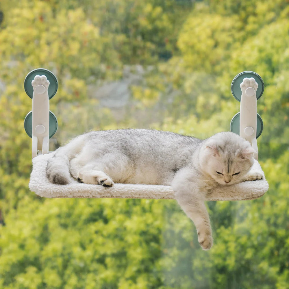 Cat Window Bed